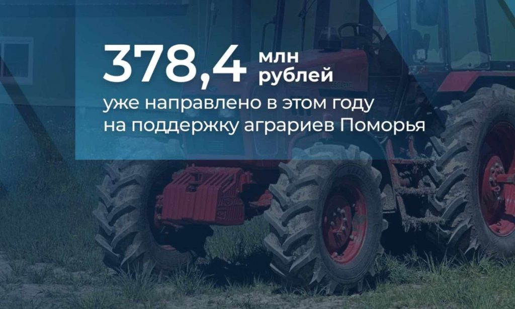 Фото из телеграм-канала Александра Цыбульского