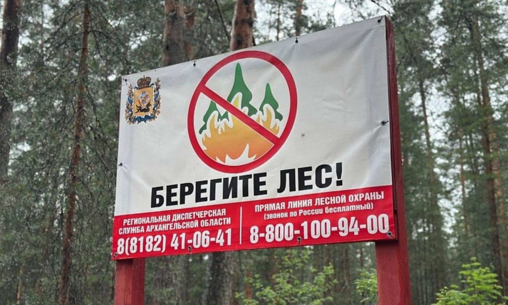 Фото министерства природных ресурсов и ЛПК Архангельской области
